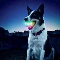 Budget ⭐ Nite Ize Glow Streak LED Ball Disco 🎁