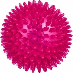 Best Sale ๐ Leaps & Bounds Romp And Run Spiny Ball ๐ฆฎ Dog Toy ๐