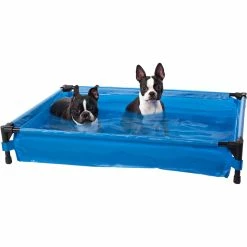 Flash Sale 🧨 K&H Pet Products Pet Pool Large 30 X 42 X 7 In. 👍