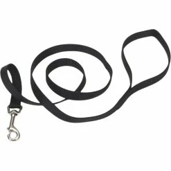 Best Pirce 🔔 Coastal Pet Single Ply Nylon 🐕 Dog Leash 6 Ft. 🧨