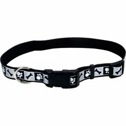 Buy 😍 Coastal Pet Products Reflective Medium/Large 🦮 Dog Collar 🔥