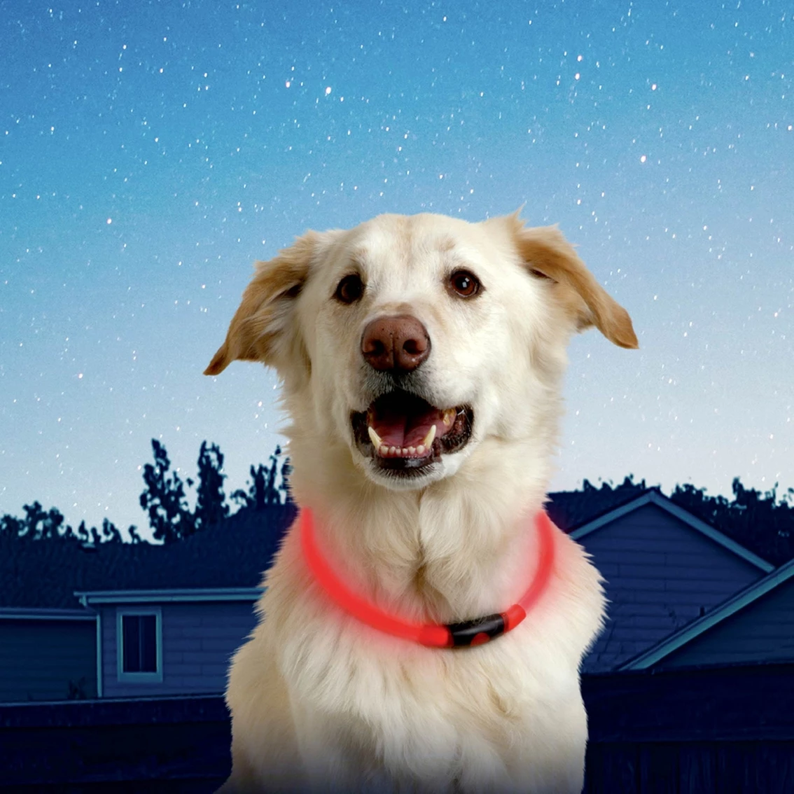 Best Pirce ๐ Nite Ize Nite Howl Collar ๐