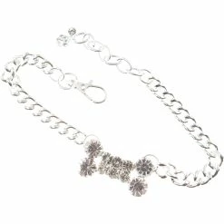 Top 10 🎁 Buddy G's Chain Collar With Bone 🌟