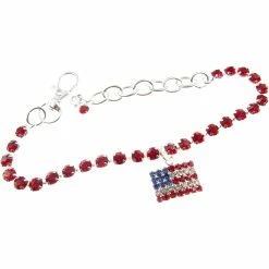 Flash Sale 😀 Buddy G's U.S.A. Flag Collar 💯