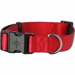 Budget 👍 Youly Good 2 Go Neoprene Padded 🦮 Dog Collar 😀