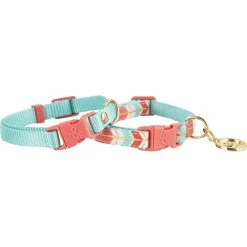 Buy π Bond & Co. Turquoise And Coral πΆ Dog Collar, Extra Small And Small π₯°