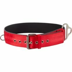 Wholesale ✔️ Good 2 Go 🐶 Dog Collar For Big 🐶 Dogs ⌛