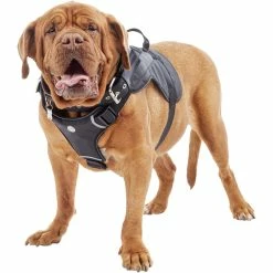 Deals 🔔 Good2Go Good 2 Go 🦮 Dog Harness ⭐
