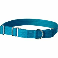 Outlet ๐งจ EveryYay Good2Go Martingale ๐ Dog Collar ๐