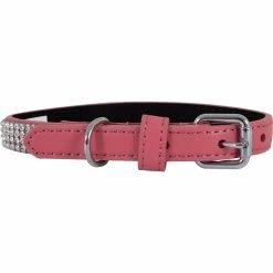 Outlet ๐ Petmate Leather Bling ๐ฆฎ Dog Collar โจ