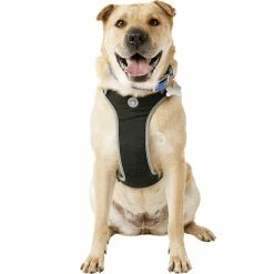 Deals 😀 Youly The Classic Black Harness For Large 🐕 Dog, X Large And XX Large 🔥