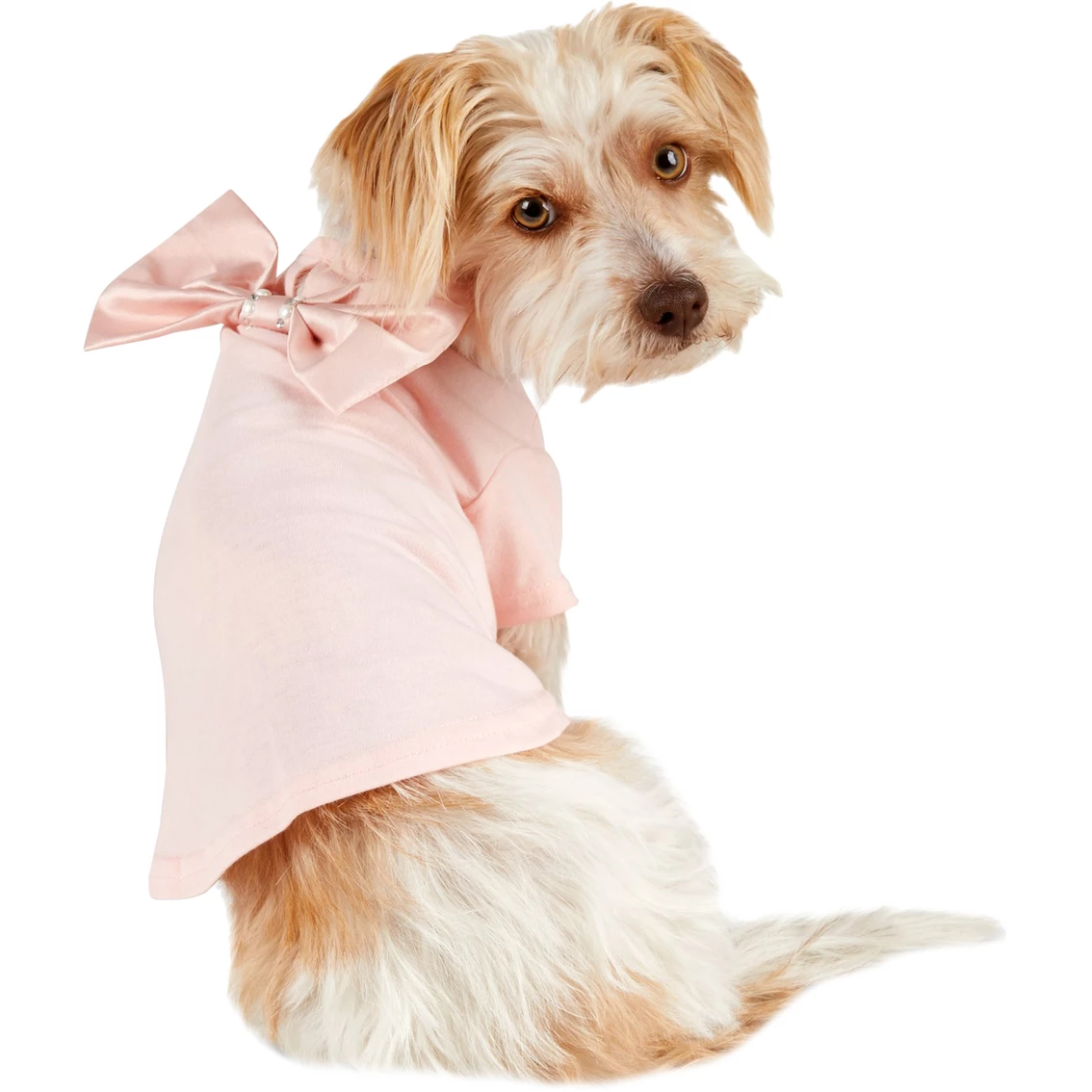 Flash Sale ๐ Petco Bond & Co. Bejeweled Bow ๐ฆฎ Dog Tee, X-Small โค๏ธ