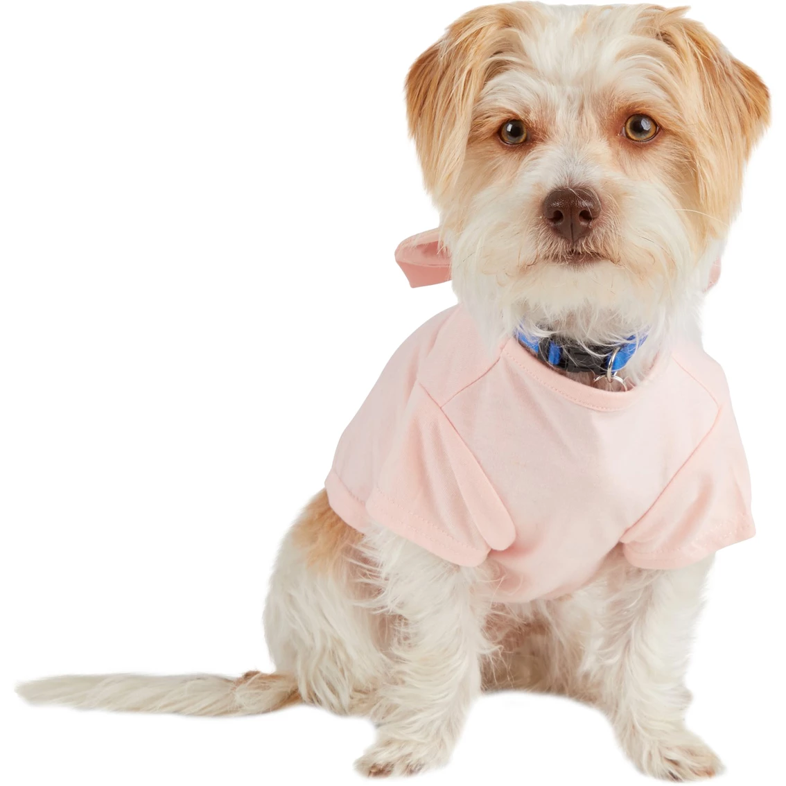 Flash Sale ๐ Petco Bond & Co. Bejeweled Bow ๐ฆฎ Dog Tee, X-Small โค๏ธ - Image 2