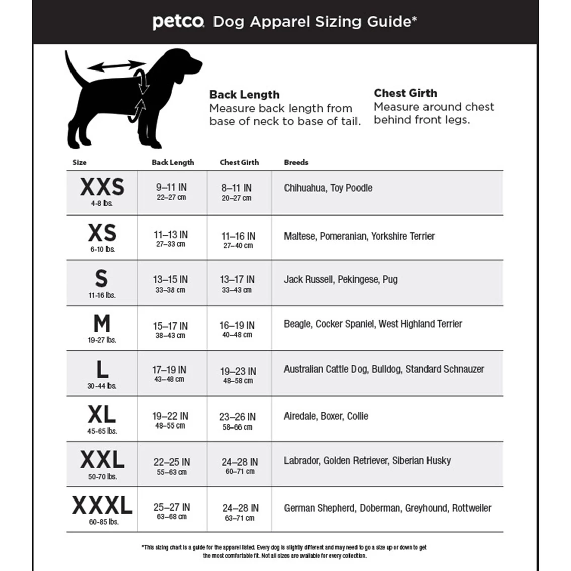 Flash Sale ๐ Petco Bond & Co. Bejeweled Bow ๐ฆฎ Dog Tee, X-Small โค๏ธ - Image 5