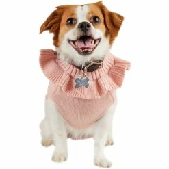 Budget ❤️ Petco Bond & Co. Bougie Princess 🐶 Dog Sweater, Small 😍